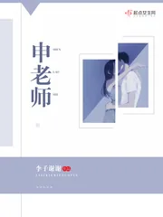 《申老师》封面