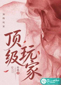 《顶级玩家》小说封面