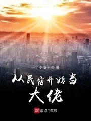 《从民宿开始当大佬》封面
