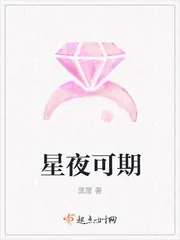 《星夜可期》封面