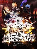 《骑士武装系统》封面