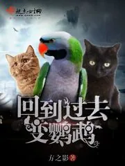 《回到过去变鹦鹉》封面
