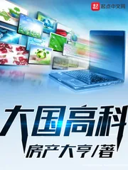 《大国高科》封面