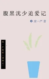 《腹黑沈少追爱记》封面