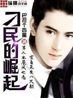 《刁民的崛起》封面