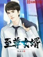 《至尊女婿》封面
