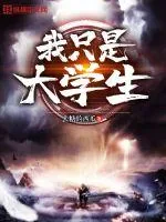 《我只是大学生》小说封面