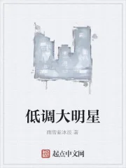 《低调大明星》封面