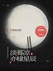 《淡蓦凉亦棣星辰》封面