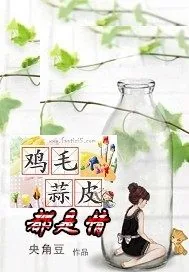 《鸡毛蒜皮都是情》封面
