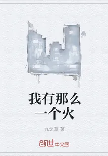 《我有那么一个火》封面