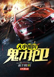 《大小姐的鬼才护卫》封面