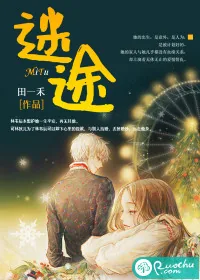 《迷途》封面