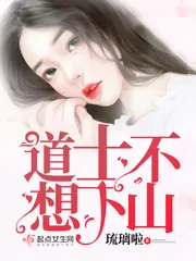 《道士不想下山》小说封面