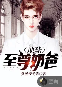《地球至尊奶爸》封面