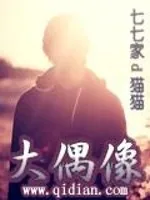 《大偶像》小说封面