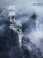 《麒麟奶爸》封面