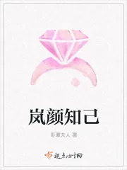 《岚颜知己》封面