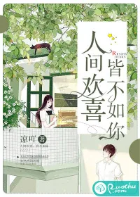 《人间欢喜，皆不如你》封面