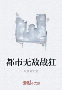 《都市无敌战狂》封面