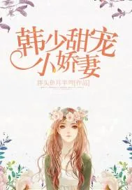 《韩少甜宠小娇妻》封面
