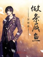 《梦想是做条咸鱼》封面