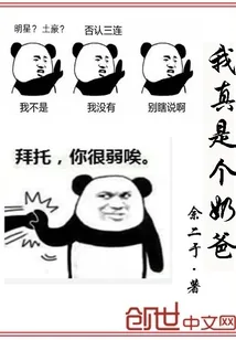 《我真是个奶爸》封面