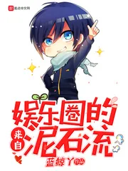 《来自娱乐圈的泥石流》封面