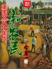《重生之八十年代新农民》封面
