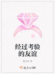 《经过考验的友谊》小说封面
