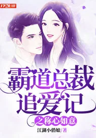 《霸道总裁追爱记》封面