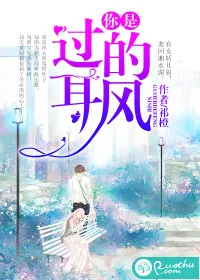 《你是过耳的风》封面