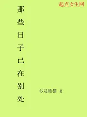 《那些日子已在别处》封面