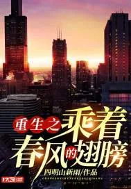 《重生之乘着春风的翅膀》封面