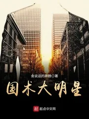 《国术大明星》封面
