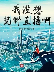 《我没想荒野直播啊》封面