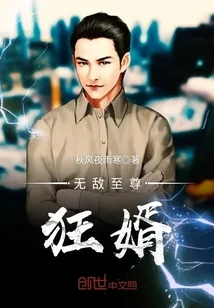 《无敌至尊狂婿》封面