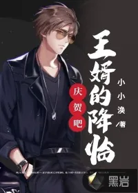 《庆贺吧，王婿的降临！》封面