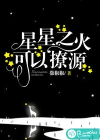 《星星之火，可以撩源》封面