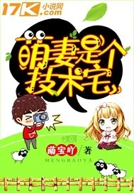 《萌妻是个技术宅》封面