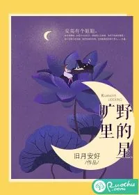 《旷野里的星》封面