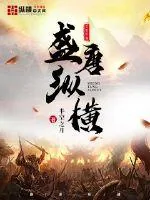 《盛唐纵横》封面