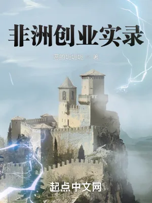 《非洲创业实录》小说封面