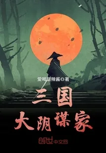 《三国大阴谋家》封面