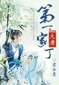 《大唐第一家丁》小说封面
