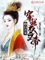 《穿越成皇帝的白月光》小说封面