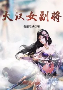 《大汉女副将》封面