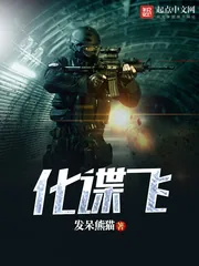 《化谍飞》封面