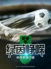 《绿茵峥嵘》封面