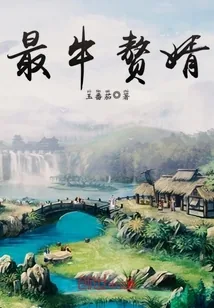 《最牛赘婿》封面